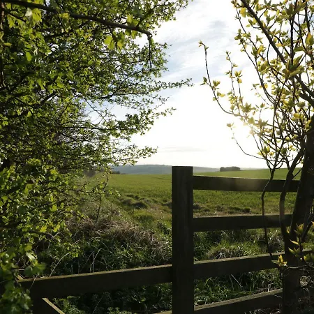 Rosedale سولتبرن باي ذا سي